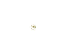 logo windows to infinity